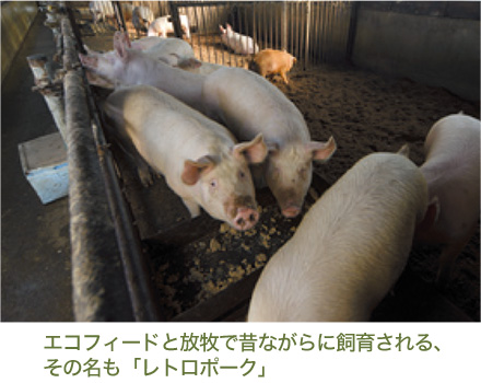 エコフィードと放牧で昔ながらに飼育される、その名も「レトロポーク」