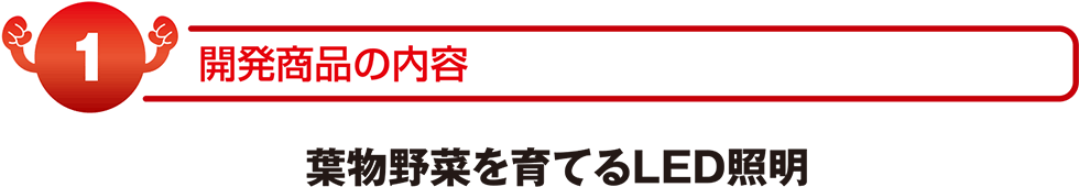 開発商品の内容　葉物野菜を育てるLED照明