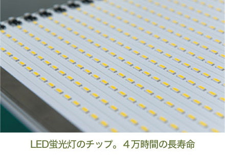 LED蛍光灯のチップ。4万時間の長寿命