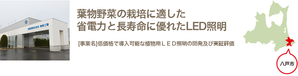 葉物野菜の栽培に適した省電力と長寿命に優れたLED照明　低価格で導入可能な植物用LED照明の開発及び実証評価