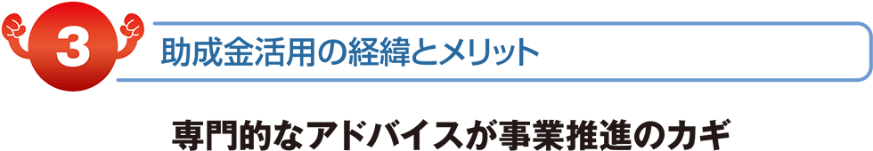 補助金活用の経緯とメリット専門的なアドバイスが事業推進のカギ