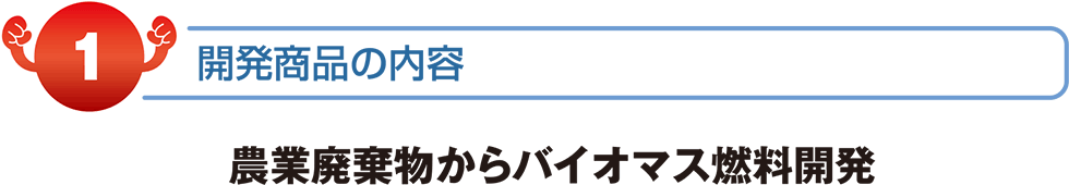 開発商品の内容　農業廃棄物からバイオマス燃料開発