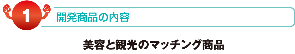 開発商品の内容　美容と観光のマッチング