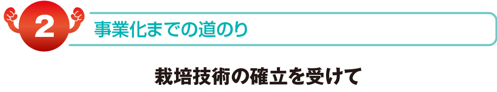 事業化までの道のり　栽培技術の確立を受けて