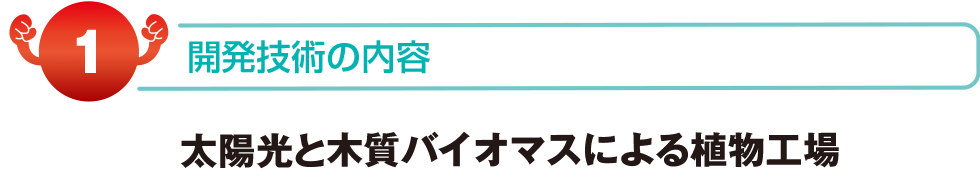 開発商品の内容　太陽光と木質バイオマスによる植物工場