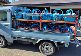 りんご手籠用ラック