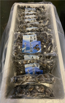 冷凍しじみ 250g