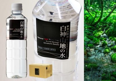 白神山地の水500ml